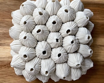 Cardamom Porcelain Micro Tile: Ceramic Wall Sculpture, Handmade Art