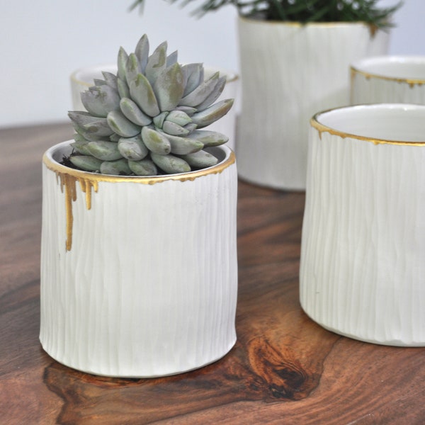 Small Gold Rim Birch Planter -  White Ceramic Planter, Ceramic Vase, White Vase,  Indoor Planter,  Ceramic Pottery