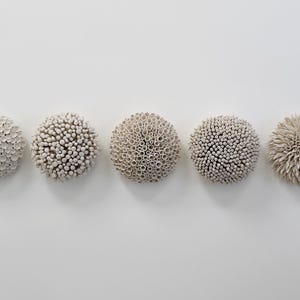 Op de afbeelding: Vijf bolvormige wandkunstwerken in tinten wit en beige. De stukken hebben verschillende oppervlaktepatronen, waaronder kleine, afgeronde uitsteeksels en buisvormige structuren. De kunst is op een witte muur gemonteerd.