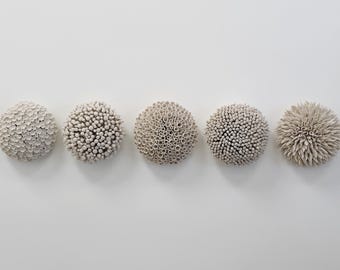 Porcelain Wall Sculpture Quintet – Botanical Ceramic Wall Art Installation, Anthos