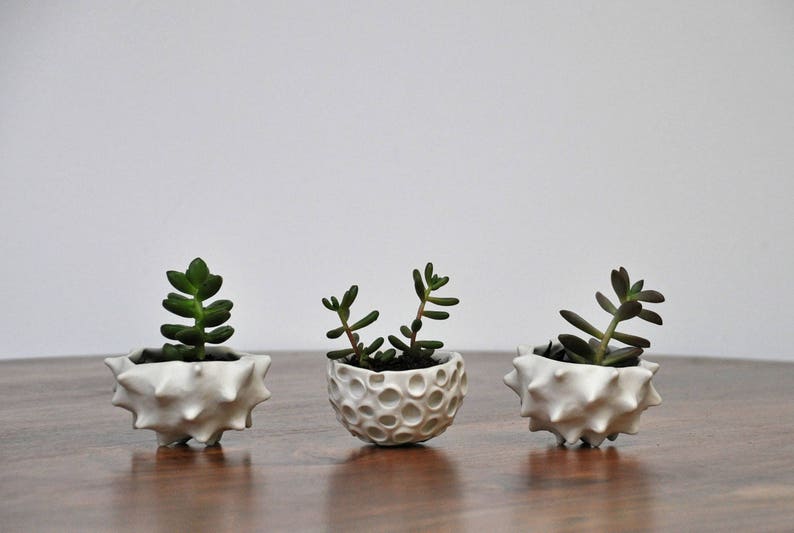 Little Lotus Bowl, White Pinch Bowl, Salt Dish, Ceramic Ring Dish, Small Porcelain Bowl image 8