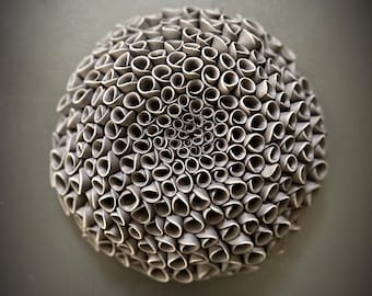 Black Pamona Porcelain Wall Sculpture – Botanical Ceramic Art, Organic Modern Wall Decor