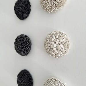 May include: A collection of ceramic wall art pieces in various shapes and textures. The pieces include black and off-white organic forms, such as floral and spiky designs, mounted on a white wall. The art pieces are arranged in a visually appealing pattern.