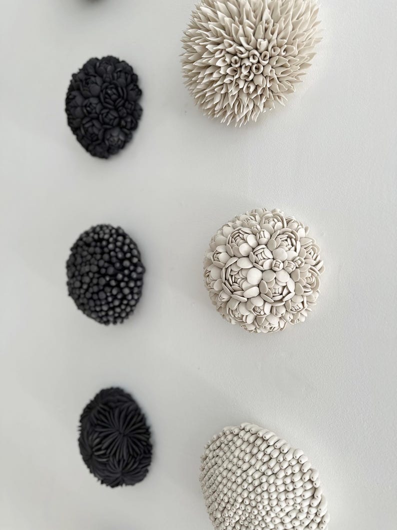May include: A collection of ceramic wall art pieces in various shapes and textures. The pieces include black and off-white organic forms, such as floral and spiky designs, mounted on a white wall. The art pieces are arranged in a visually appealing pattern.