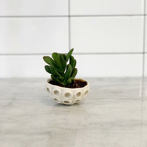 Little Lotus Bowl, White Pinch Bowl, Salt Dish, Ceramic Ring Dish, Small Porcelain Bowl image 7