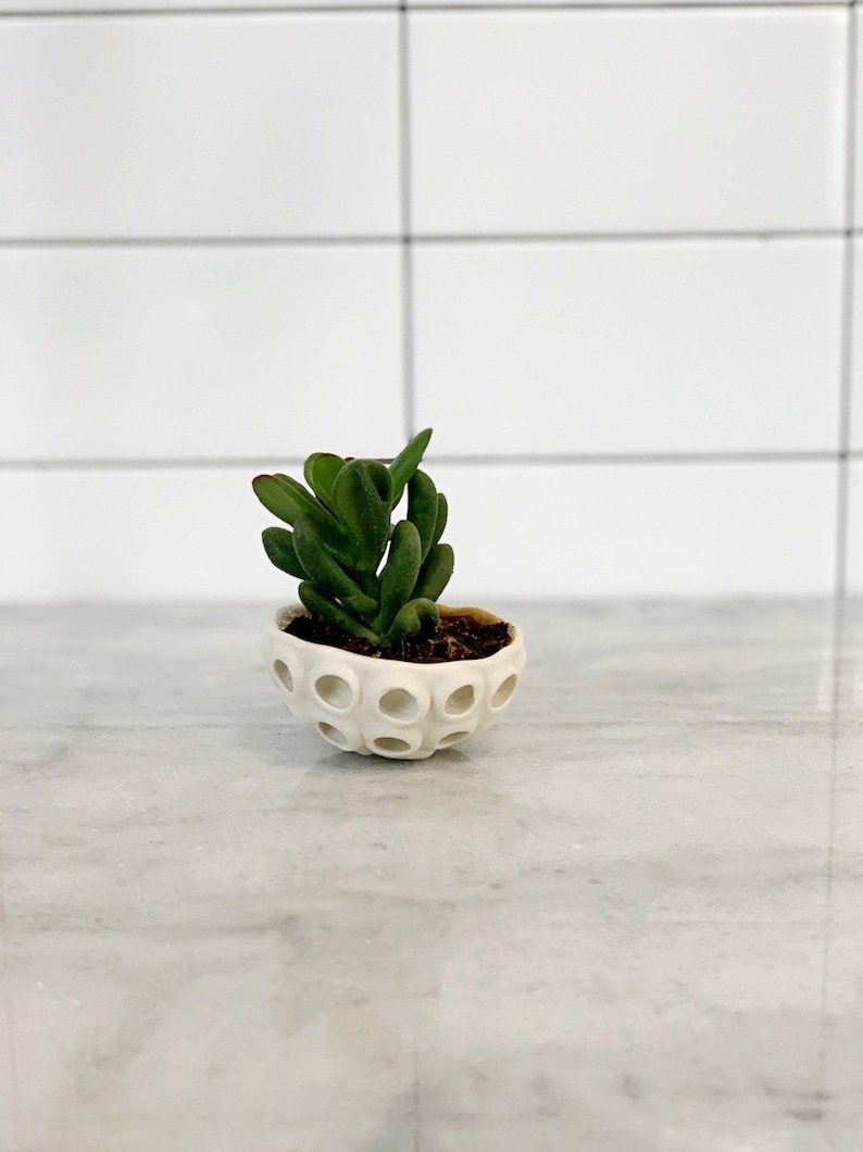 Little Lotus Bowl, White Pinch Bowl, Salt Dish, Ceramic Ring Dish, Small Porcelain Bowl image 7