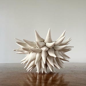 Pode incluir: Uma escultura de cerâmica branca com um design espinhoso em forma de estrela. A obra de arte está colocada sobre uma superfície de madeira castanha. Os elementos pontiagudos e afiados da escultura criam um contraste visual marcante.