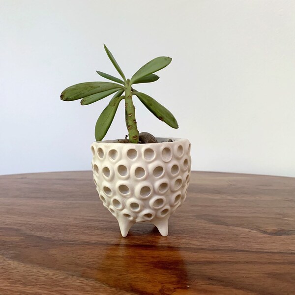 Lotus Planter - Snowflake - White Succulent planter , small indoor planter , White Ceramic Planter