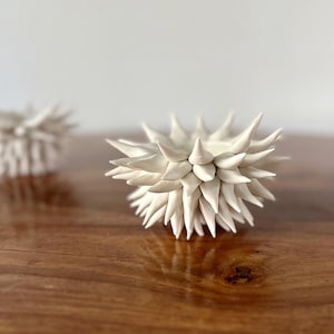 Handmade Porcelain Urchin Bowl – White Coastal Inspired Ceramic Art - Organic Modern Decor - Beach Pottery Gift