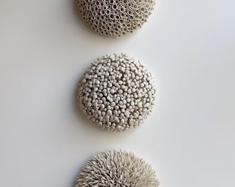 Porcelain Wall Sculpture Trio – Botanical Ceramic Wall Art, Organic Modern Installation, Handcrafted