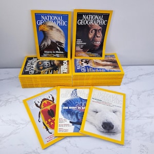 Puede incluir: Una colección de revistas National Geographic con bordes amarillos. Las portadas presentan imágenes de un águila, un primate, un escarabajo, un oso polar y otros animales salvajes. El texto incluye "Majesty in Motion" y "Extreme Africa."
