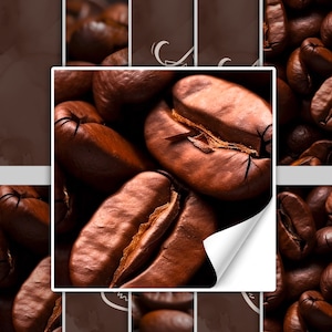 Könnte beinhalten: Nahaufnahme von gerösteten Kaffeebohnen, die die satte braune Farbe und die komplizierten Details der Bohnen zeigen.