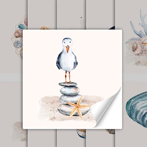 Könnte beinhalten: Ein Aquarellbild einer Möwe, die auf einem Stapel grauer Steine steht, mit einem Seestern auf dem Sand darunter. Die Möwe ist weiß mit grauen Flügeln und einem gelben Schnabel.