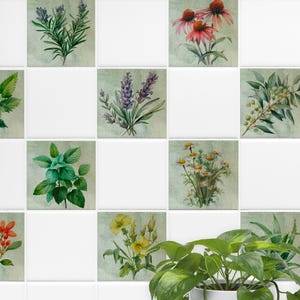 Könnte beinhalten: Neun quadratische Fliesen mit floralen Designs. Jede Fliese zeigt eine andere Blume oder ein anderes Kraut, darunter Lavendel, Rosmarin, Kamille und Sonnenhut. Die Fliesen sind weiß mit einem hellgrünen Hintergrund.