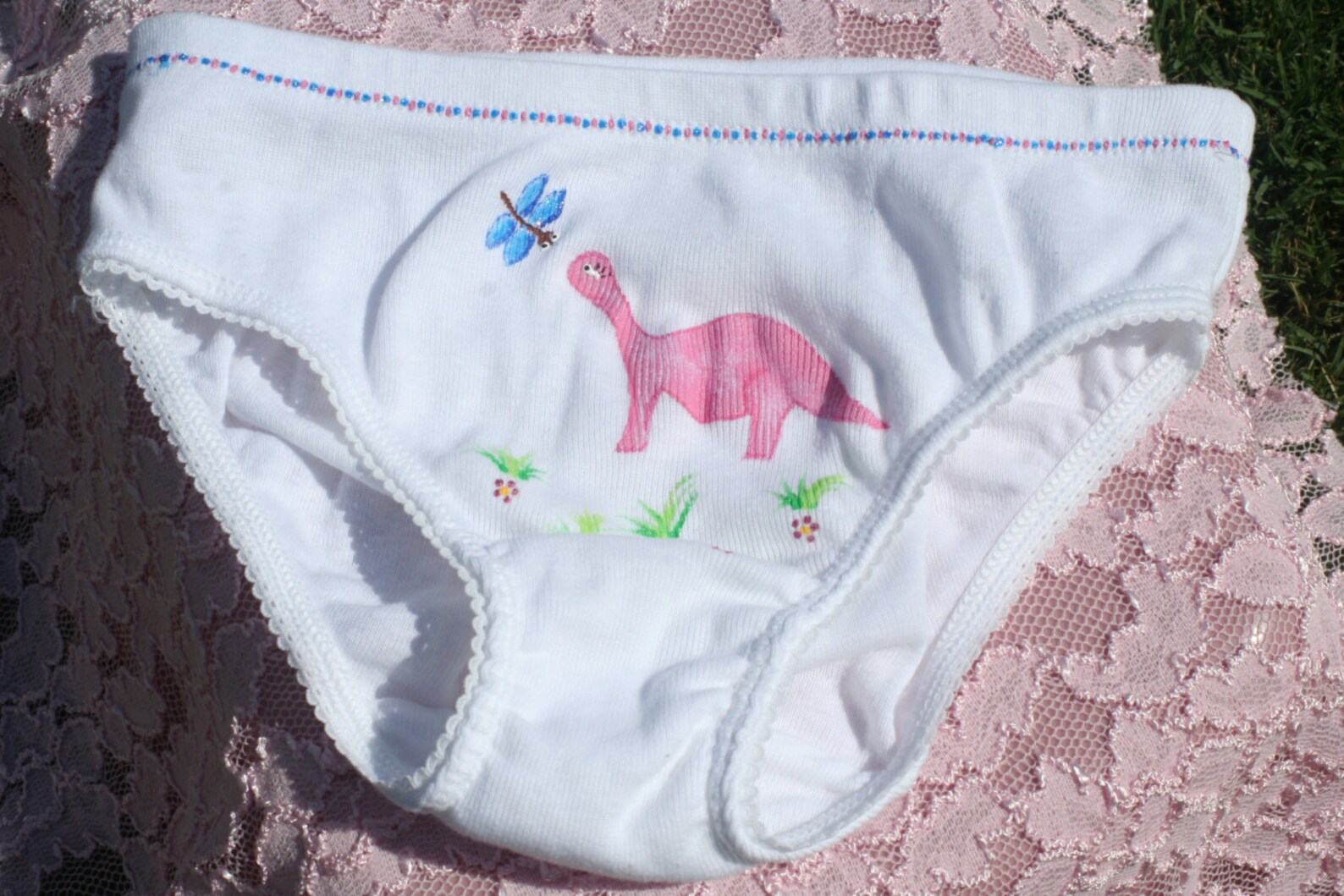 3 pack Dinosaur Panties girls size XXsmall Xsmall Small Etsy