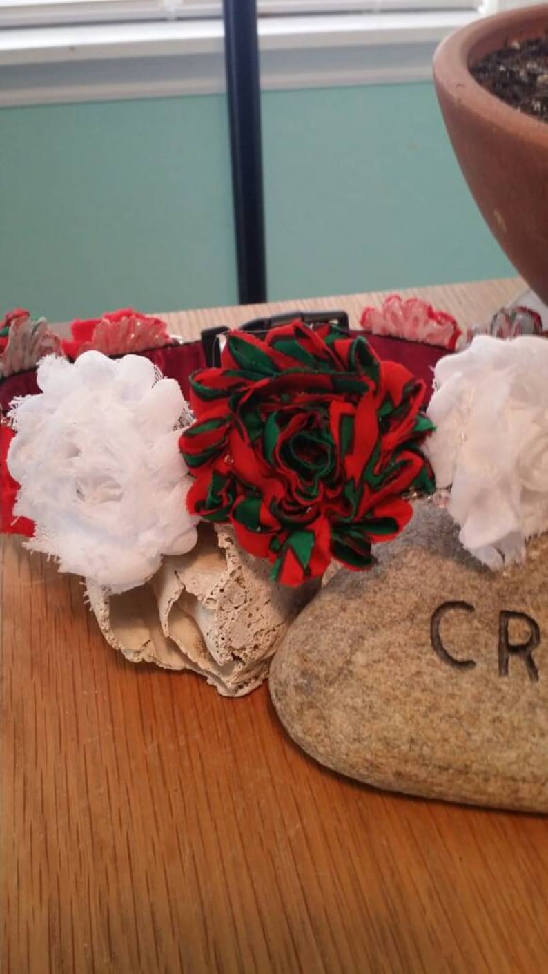22 inch shabby-chic Christmas dog collar merry