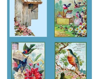 DNC 060 Artistic Ephemera Instant Download Four 4" x 5" Images as an 8" x 10" JPG – Colorful VTCs Victorian Tropical Birds Hummingbirds