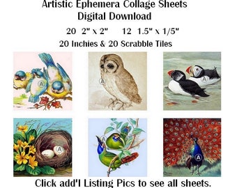 EP-014 Three Artistic Ephemera Digital Collage Sheets - Instant Download - 12 2" and 20 1.5" + 1" + Scrabble Tiles - Vintage Birds Wise Owl