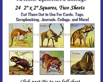EP-026 Artistic Ephemera Digital Collage Sheet - Instant Download - 12 Images 2" x 2" Arent's Wild Animals Kangaroo Reindeer Hyena Tiger