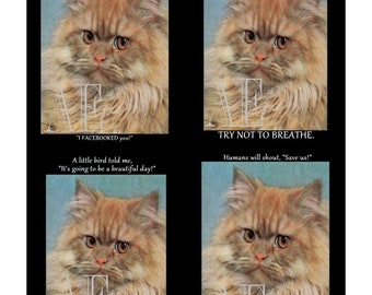 DNC 029 Artistic Ephemera Instant Download Four 4" x 5" Images as an 8" x 10" JPG – Grumpy Cats "Love is in the air, Try not to breathe"
