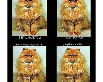 DNC 032 Artistic Ephemera Instant Download Four 4" x 5" Images as an 8" x 10" JPG – Grumpy Cats "If you're happy & know it, I don't care"