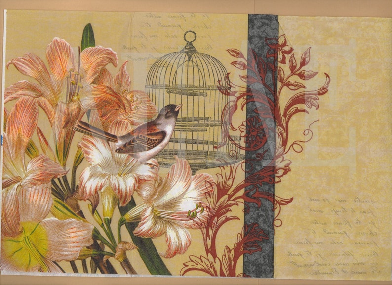 PN082 ~ Four Paper Napkins by Hoffmaster ~ Choose 5x5 or 6.5 x 6.5 or 4.5 x 8 Pretty French Collage Birdcage Soiree Bird Lilies Fleur-De-Lis