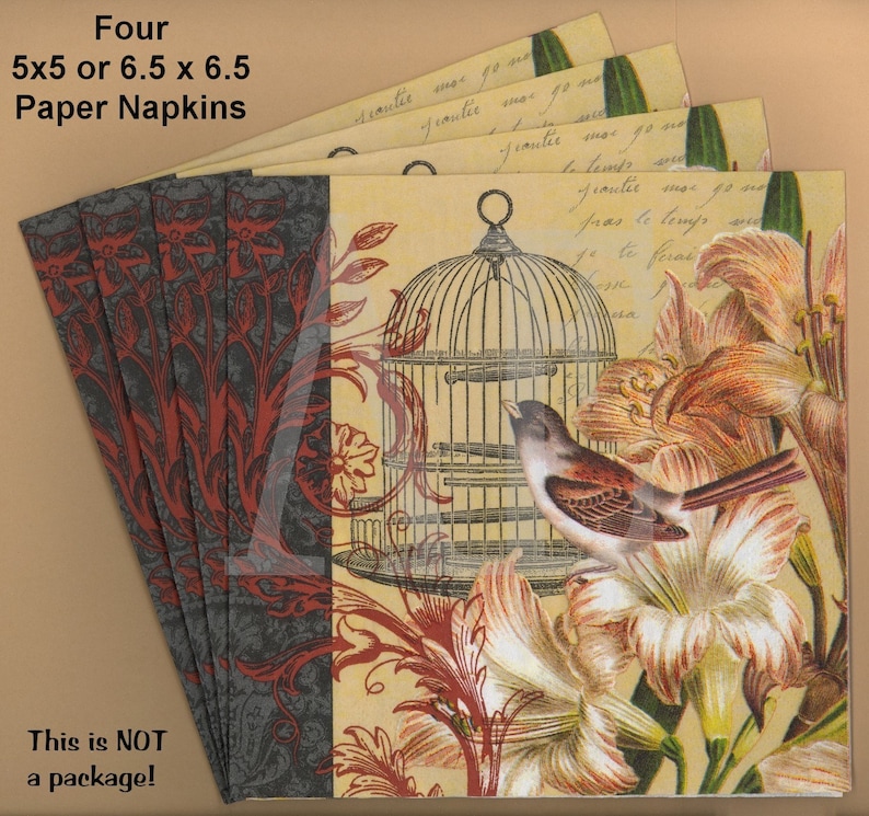 PN082 ~ Four Paper Napkins by Hoffmaster ~ Choose 5x5 or 6.5 x 6.5 or 4.5 x 8 Pretty French Collage Birdcage Soiree Bird Lilies Fleur-De-Lis