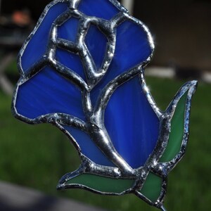 blue rosesuncatcher long stem image 4