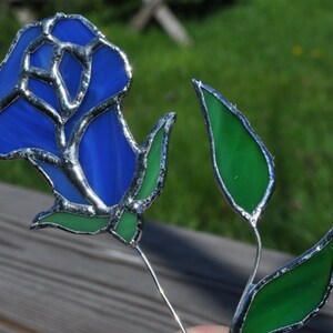 blue rosesuncatcher long stem image 1