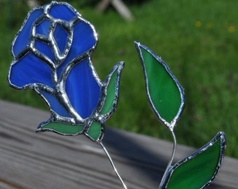 blue rosesuncatcher long stem