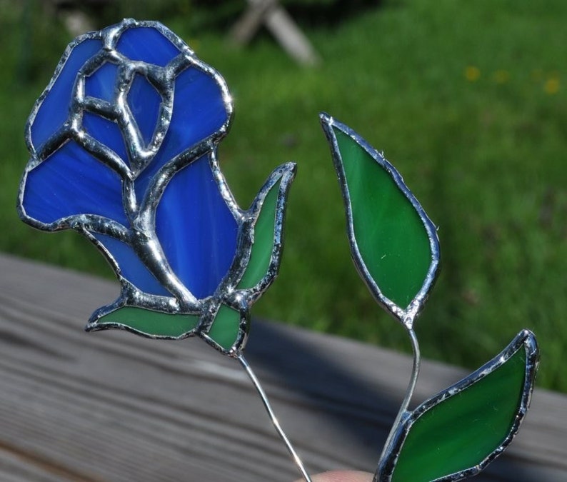 blue rosesuncatcher long stem image 1