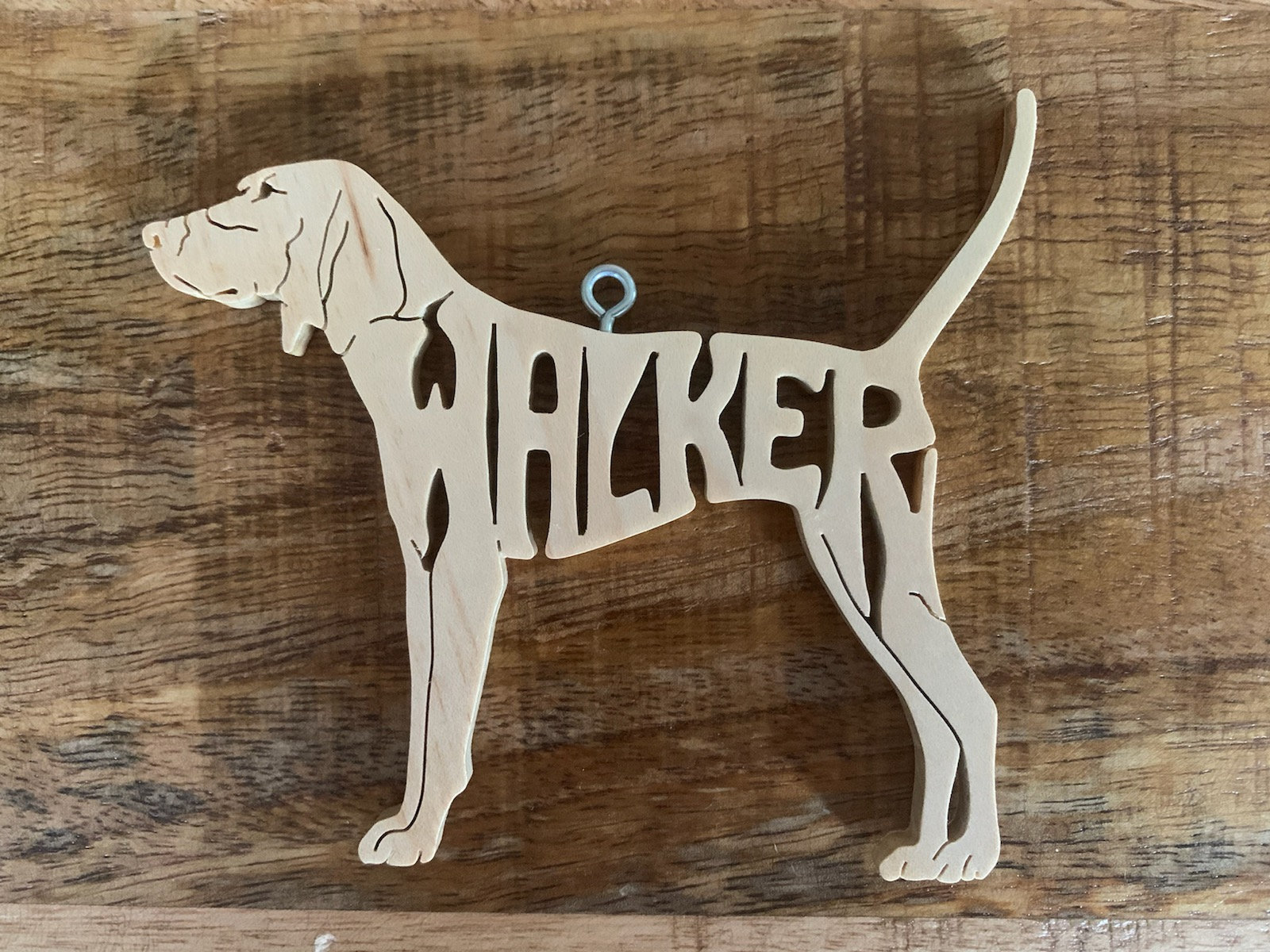 How Did Coon Dogs Get Their Name