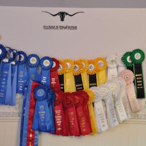 Horse Show Ribbon Holder Ribbon Display Equestrian Ribbon Etsy