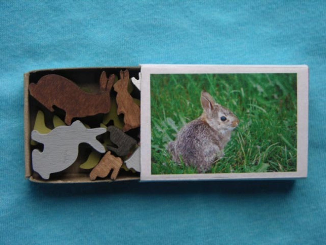 Colored Miniature Bunny Rabbit Wood Match Box Set Matchbox - Etsy