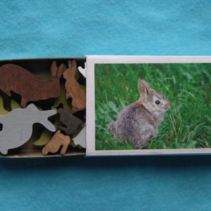 Colored  Miniature Bunny Rabbit  Wood Match Box Set Matchbox