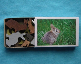 Coloré Miniature Bunny Rabbit Wood Match Box Set Matchbox