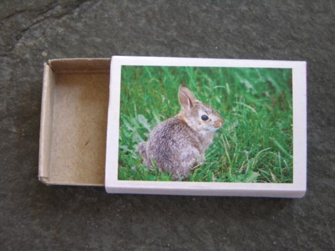 Colored Miniature Bunny Rabbit Wood Match Box Set Matchbox - Etsy