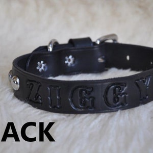 Extra Large Custom Made Leather Dog Collar with Group Spots 2 inches Wide with Free Personalization Made to fit YOUR Dog image 6