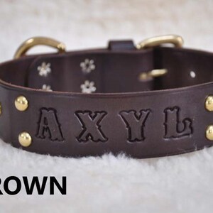 Extra Large Custom Made Leather Dog Collar with Group Spots 2 inches Wide with Free Personalization Made to fit YOUR Dog image 9