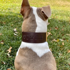 Extra Large Custom Made Leather Dog Collar 2 inches Wide with Free Personalization Made to fit YOUR Dog