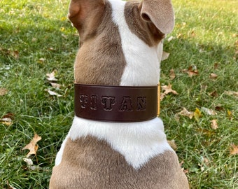 Extra Large Custom Made Leather Dog Collar 2 inches Wide with Free Personalization Made to fit YOUR Dog