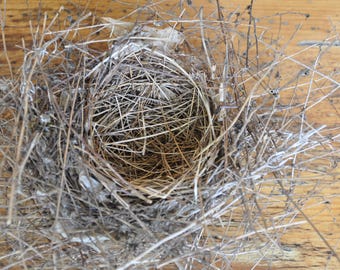 Nido de pájaros con ramitas grandes de clemátide, natural, ideal para manualidades o decoración.