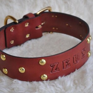 Extra Large Custom Made Leather Dog Collar with Group Spots 2 inches Wide with Free Personalization Made to fit YOUR Dog image 5