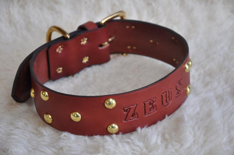 Extra Large Custom Made Leather Dog Collar with Group Spots 2 inches Wide with Free Personalization Made to fit YOUR Dog image 5