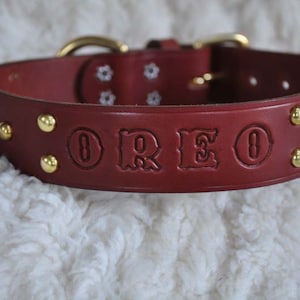 Extra Large Custom Made Leather Dog Collar with Group Spots 2 inches Wide with Free Personalization Made to fit YOUR Dog image 1