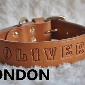 Extra Large Custom Made Leather Dog Collar with Group Spots 2 inches Wide with Free Personalization Made to fit YOUR Dog image 8