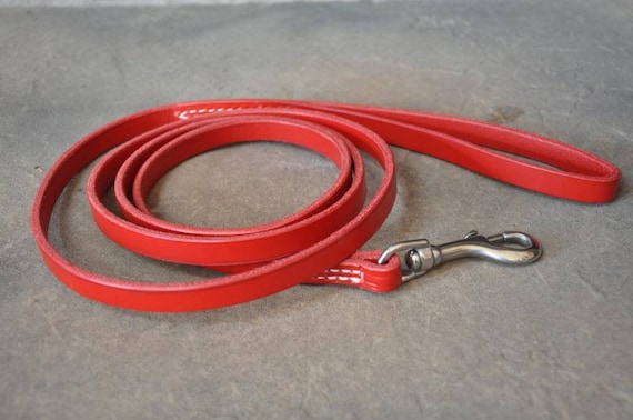1 2 inch leather dog leash Elegant Style Soft Leather Braided Dog Leash from Euro Dog Coral