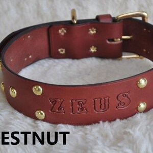 Extra Large Custom Made Leather Dog Collar with Group Spots 2 inches Wide with Free Personalization Made to fit YOUR Dog image 7