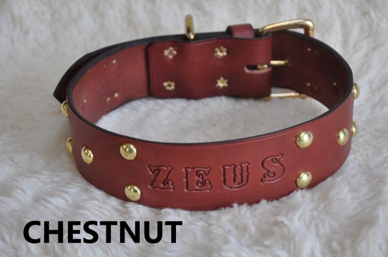 Extra Large Custom Made Leather Dog Collar with Group Spots 2 inches Wide with Free Personalization Made to fit YOUR Dog image 7