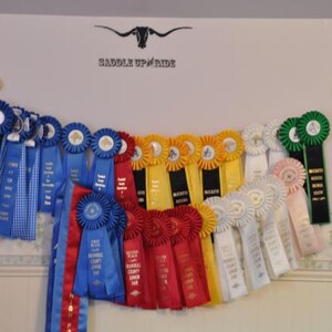 English Horse Show Ribbon Holder Display Wood Wall Hanging Award image 3